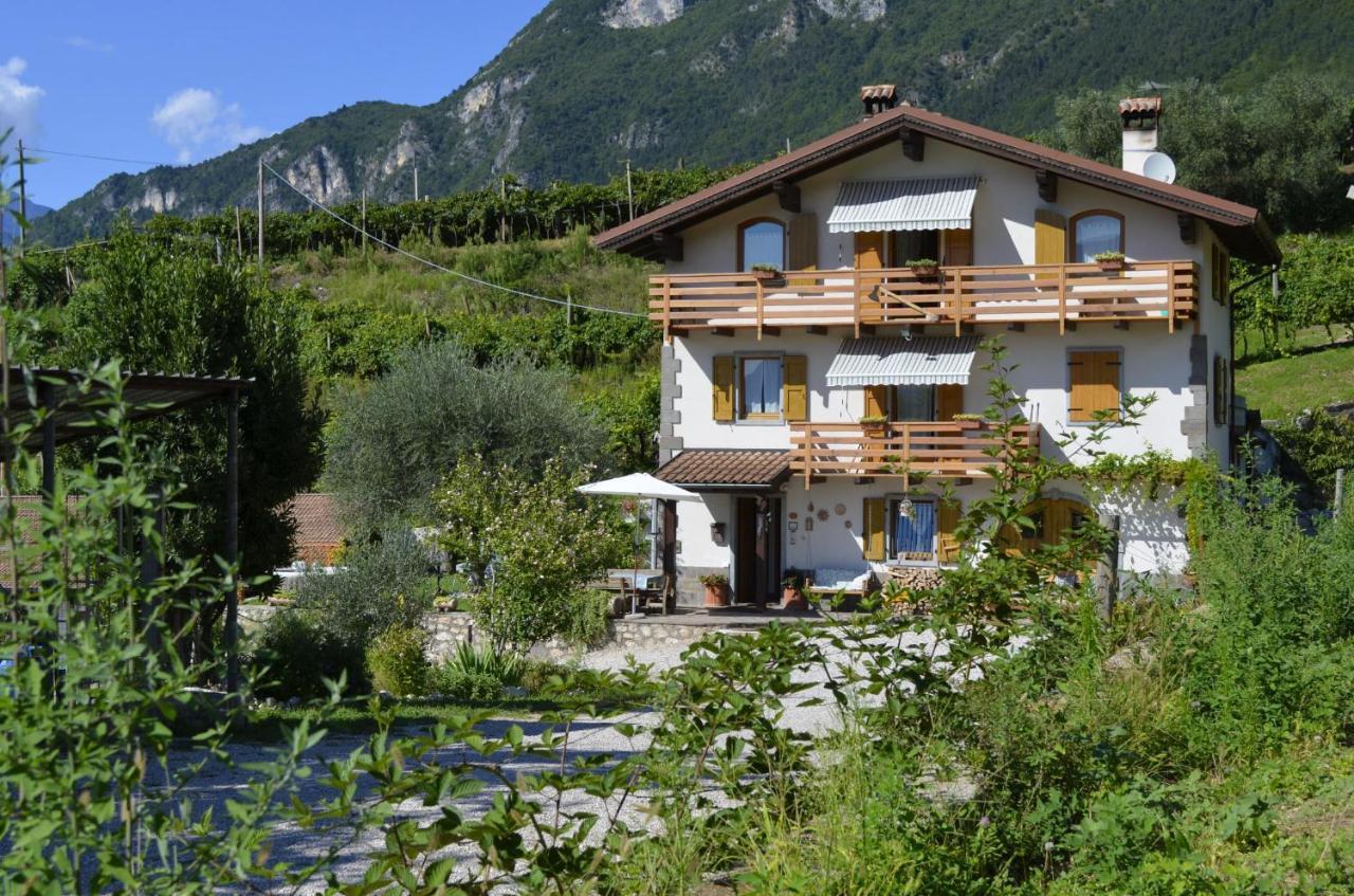 Bed and Breakfast Ca Ulivi Ала Екстер'єр фото