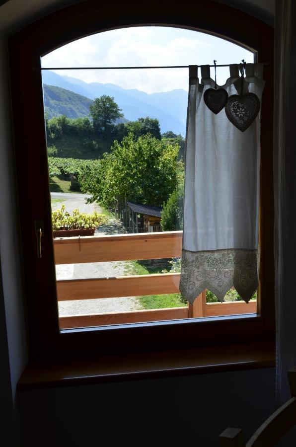 Bed and Breakfast Ca Ulivi Ала Екстер'єр фото